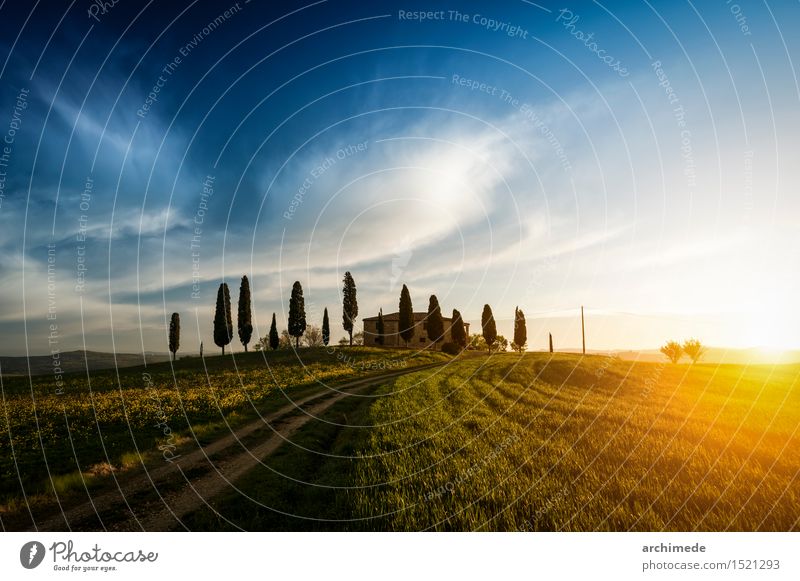 Bauernhof in der Toskana Umwelt Natur Landschaft Himmel Gras Straße Wege & Pfade grün Feld Hintergrund Italien majestätisch Sonnenuntergang val d'orcia