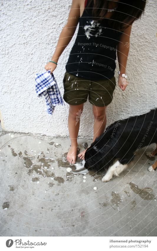 Putzfee Hund Speiseeis Sommer Ernährung dreckig lutschen Freude Australian Shepherd Vanille Leila black-tri