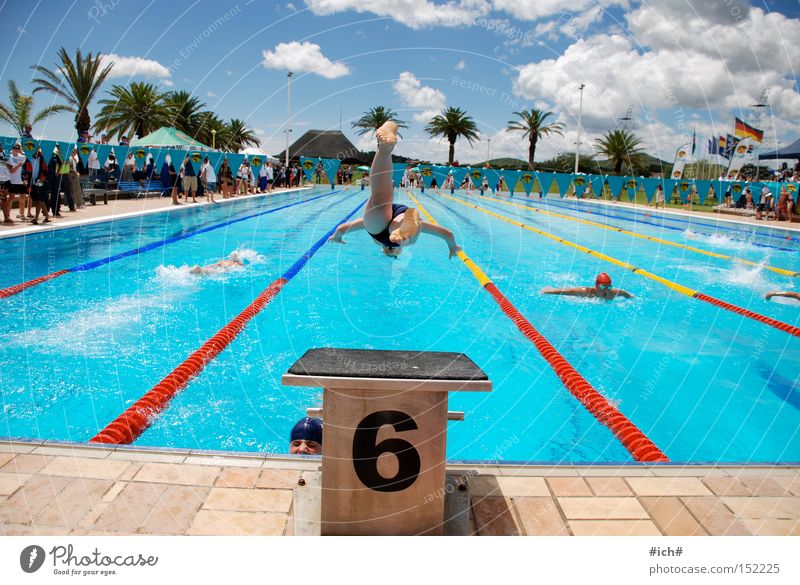 Sechser im Wasser II Schwimmbad Badehose Sprungbrett 6 blau Wolken Palme Schwimmsportler Beginn Sport fliegen kopfvoran Spielen Luftverkehr