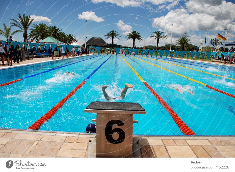 Sechser im Wasser III Schwimmbad Badehose Sprungbrett 6 blau Wolken Palme Schwimmsportler Beginn Sport fliegen kopfvoran tauchen Spielen Luftverkehr