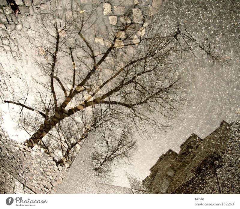 Weiße Weihnacht Wasser Pfütze Bürgersteig Baum Haus Stein kalt grau dunkel ungemütlich Wetter Winter Verkehrswege Himmel Reflexion & Spiegelung verrückt