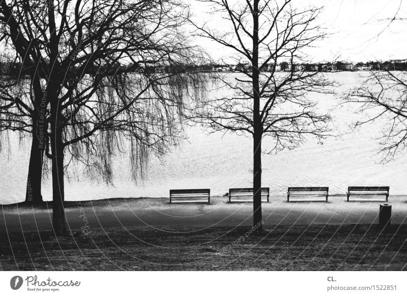 alster Umwelt Natur Landschaft Wasser Herbst Winter Baum Wiese See Fluss Hamburg Bank Müllbehälter Pause ruhig Schwarzweißfoto Außenaufnahme Menschenleer