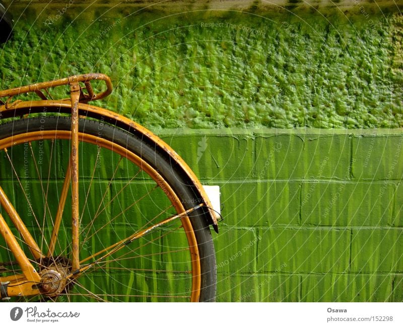 Made in GDR Fahrrad Rad alt Reifen orange grün Wand Mauer verfallen Rost Rücklicht Extremsport Gepäckträger