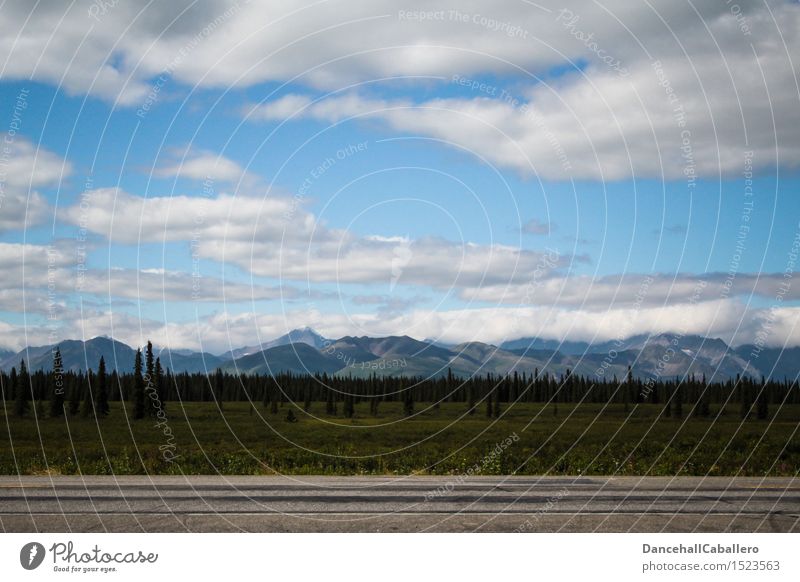 Unterwegs in Alaska... Ferien & Urlaub & Reisen Abenteuer Sommerurlaub Natur Landschaft Himmel Wolken Horizont Schönes Wetter Baum Gras Sträucher Wiese Wald