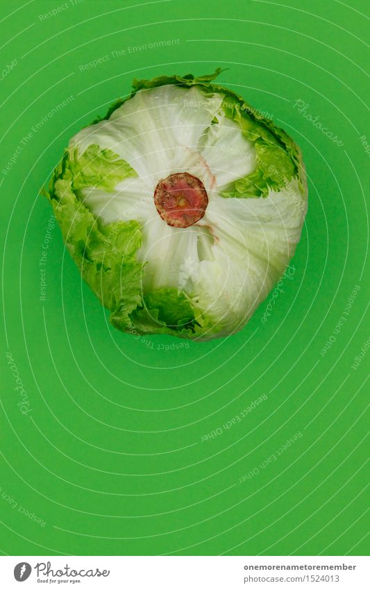 Eisberg vorraus! Lebensmittel Gemüse Salat Salatbeilage Geschäftsessen Bioprodukte Slowfood Kunst ästhetisch Eisbergsalat grün Vegetarische Ernährung