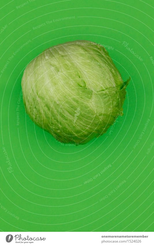 Dumm.Kopf. Lebensmittel Gemüse Salat Salatbeilage Ernährung Bioprodukte Vegetarische Ernährung Diät ästhetisch Kopfsalat Eisbergsalat Salatblatt grün Farbfoto