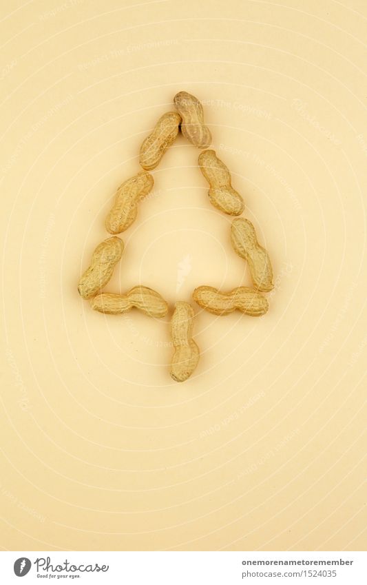 Nussbaum Kunst Kunstwerk ästhetisch Erdnuss Erdnussernte Dreieck Weihnachtsbaum Weihnachtsbaumspitze Weihnachten & Advent gebastelt beige graphisch Kreativität