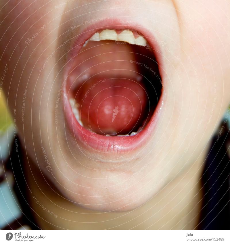 sag aaaaaaaaaaah.... Kind Junge Mund Zähne Gesundheit Kopf Zunge offen Zahnarzt Jugendliche Kindermund Rachen Kindergesicht Gesichtsausschnitt Anschnitt