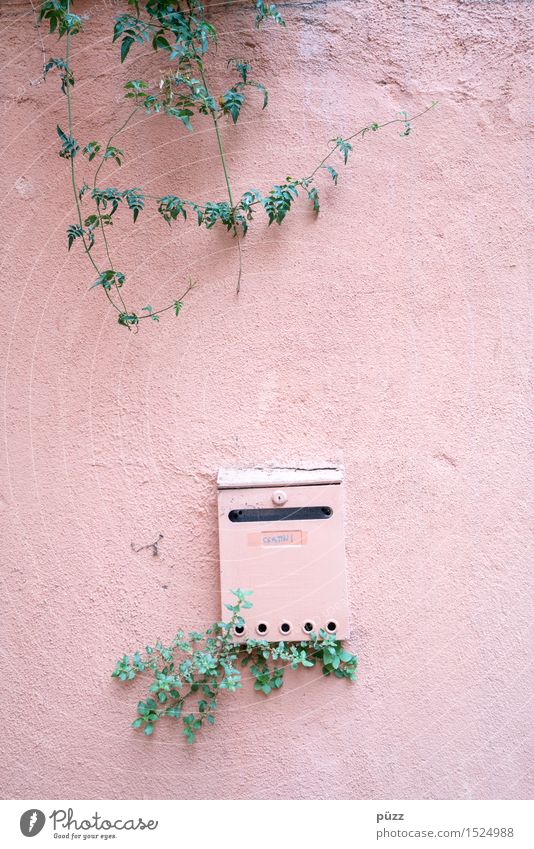 Briefkasten Häusliches Leben Wohnung Haus Natur Pflanze Blatt Grünpflanze Dorf Kleinstadt Stadt Mauer Wand Fassade Stein Beton Metall Kommunizieren schreiben
