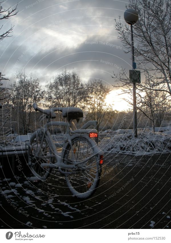 Zugeschneites Fahrrad kalt weiß Himmel blau Winter Lampe Einsamkeit Schnee zugeschneit