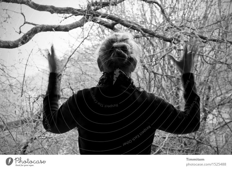 Ein Morgengruß. Wohnung Mensch feminin Frau Erwachsene 1 Umwelt Natur Pflanze Baum Garten grau schwarz winken Schwarzweißfoto Tag Bewegungsunschärfe