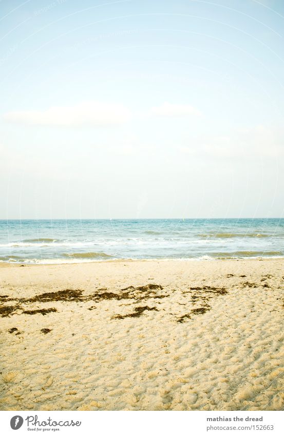 STRANDBILD Strand Sand Meer Wellen Himmel Menschenleer Natur Algen Fußspur Luft Erholung Ferien & Urlaub & Reisen Urlaubsort blau Sommer Wasser schön