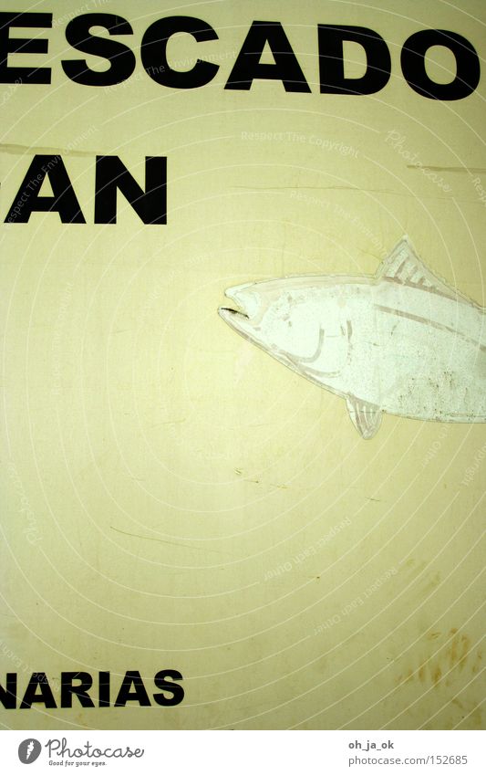 escado an arias Fisch Typographie Spanien vergilbt weiß Flosse alt Fischer Großmarkt Werbung fragment
