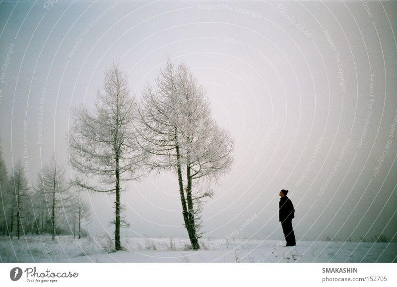 Hallo, mein Name ist Sibirien. Baum Eis schwarz Schnee Winter lomo 135 mm Film Russland der Yenisei Stauanlage -30 C kalt Sturm der Bruder der Person der Urlaub