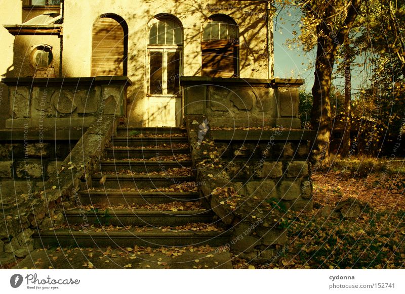 Villa R im Herbst Haus Fenster Sonne altmodisch Leerstand Gebäude Häusliches Leben Zeit Vergänglichkeit Klassik Fassade Nostalgie Treppe verfallen Einsamkeit