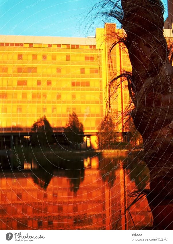 Palmen in Berlin Sonnenuntergang Gebäude Platz Fototechnik Wasser Wasseroberfläche Wasserspiegelung Spiegelbild Menschenleer Abenddämmerung Potsdamer Platz