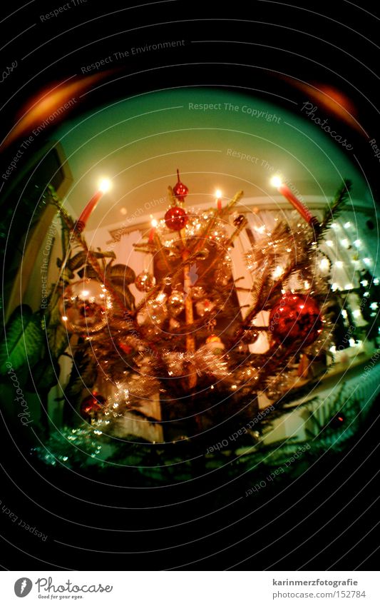 oh tannenbaum... Weihnachtsbaum Weihnachten & Advent Kerze Feste & Feiern Christbaumkugel Abend Dezember Winter besinnlich harmonisch Fischauge