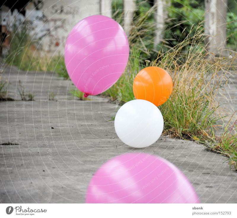 hit field balloon Luftballon rosa Gras Spielen spielend Beton aufgeblasen