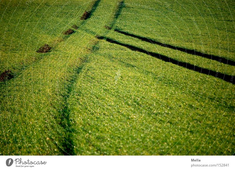 Hoppla! Feld Spuren Reifen Fahrbahn Furche grün Landwirtschaft kreuzen Unfall Kollision Querverkehr Traktorspur
