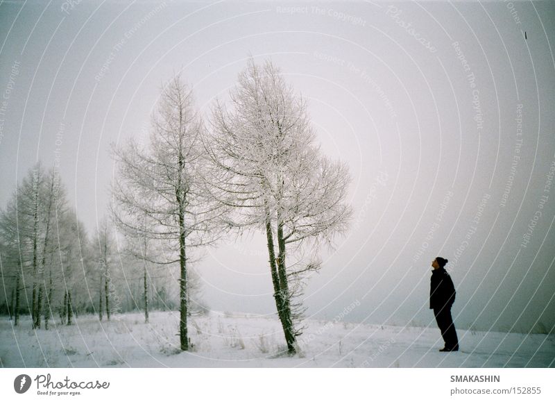 zweite Aufnahme Sibirien Baum Eis schwarz Schnee Winter lomo 135 mm Film Russland der Yenisei Stauanlage -30 C kalt Sturm der Bruder der Person der Urlaub