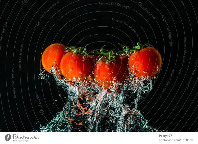 Tomaten Gemüse Bioprodukte Vegetarische Ernährung Diät Trinkwasser Gesunde Ernährung frisch Gesundheit lecker nass natürlich grün rot genießen Wasser Luftblase