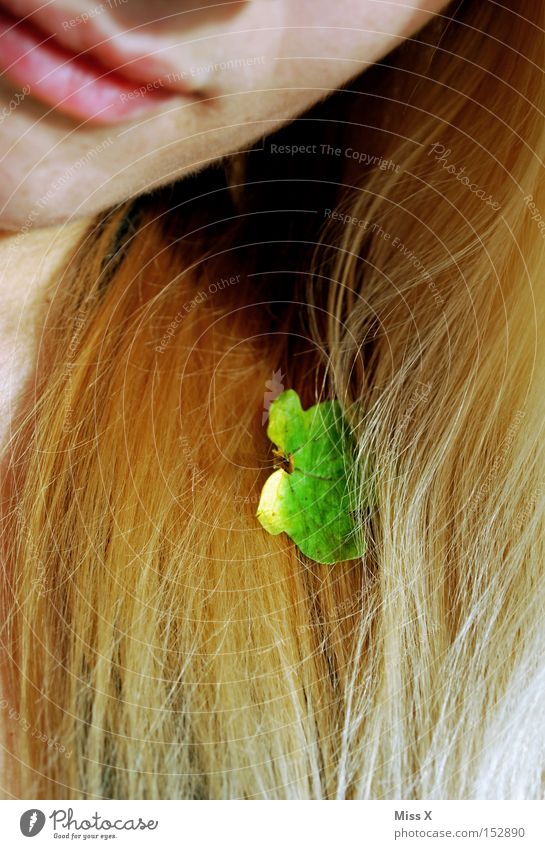 Haarschmuck Farbfoto Haare & Frisuren Gesicht Frau Erwachsene Lippen Herbst Blatt blond rothaarig grün bleich Ahorn