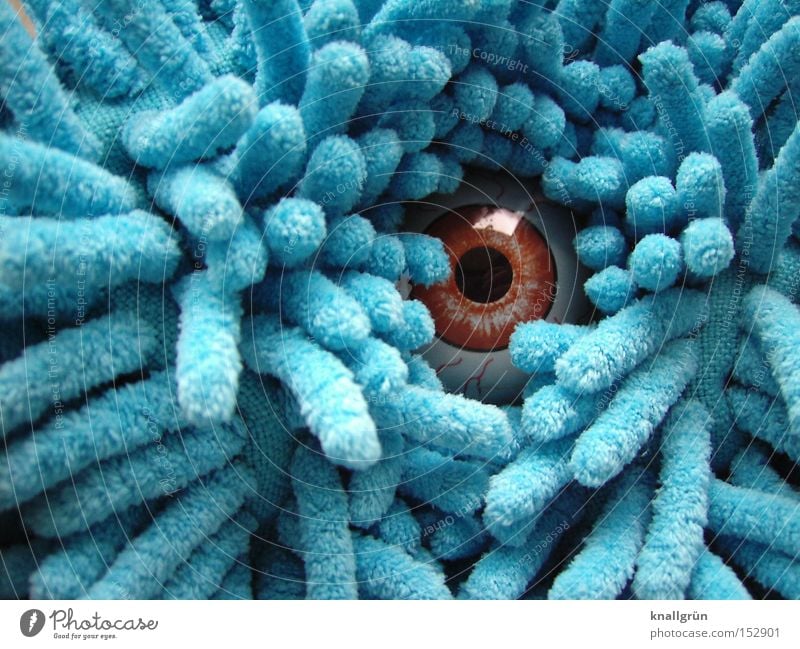 Keep an eye on you! Auge beobachten Pupille Blick fixieren glänzend Reflexion & Spiegelung braun blau verstecken Tarnung Monster obskur Konzentration Chenille