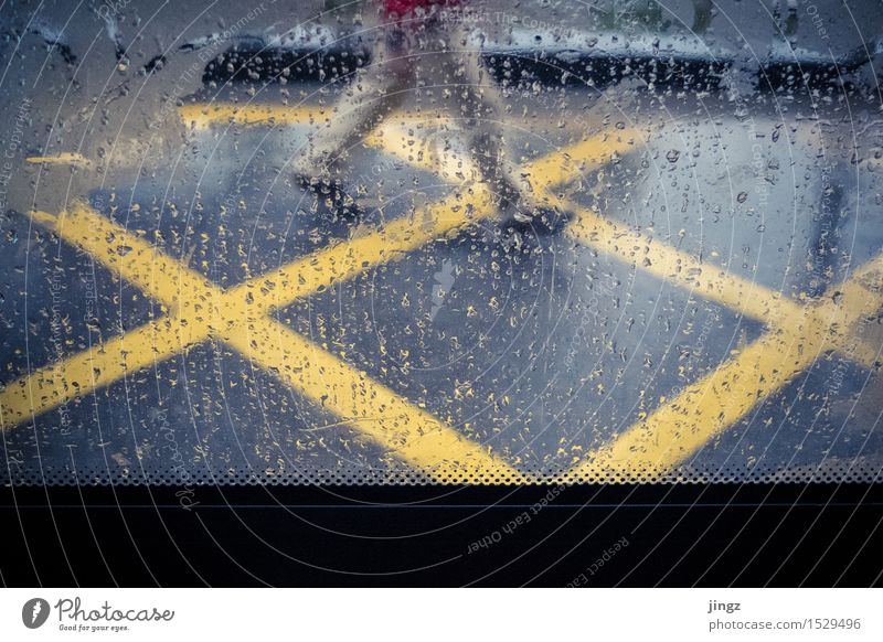 Regenwanderer Beine 1 Mensch schlechtes Wetter Haltestelle Verkehrswege Busfahren Straße Linie Tropfen rennen gehen laufen leuchten Flüssigkeit nass Stadt blau