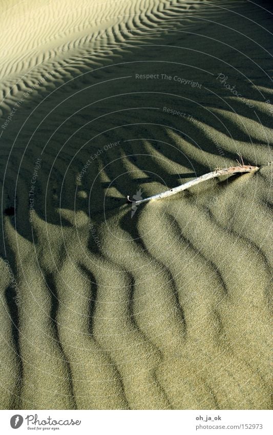 if your fond of sand dunes Wüste Düne Sand Strand Gran Canaria Muster Seele Strukturen & Formen abstrakt Furche heiß Tod