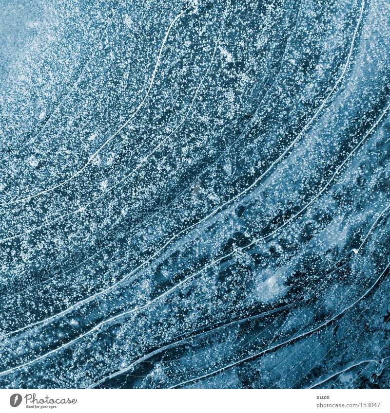 *100* Eiszeit Winter Frost blau Einschluss Blase Kreis Pfütze Untergrund Wasser gefroren Beleuchtung Farbfoto Gedeckte Farben Außenaufnahme Strukturen & Formen