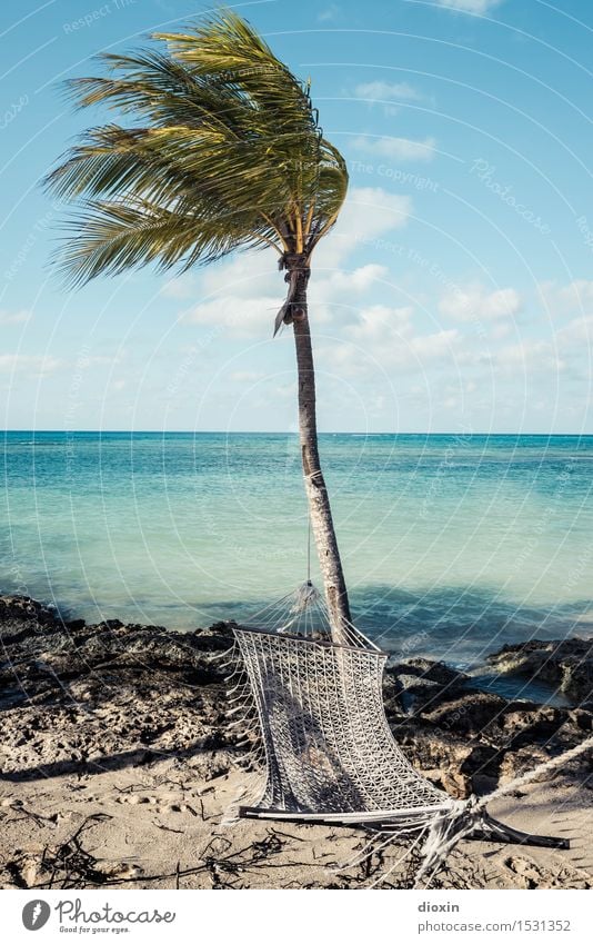 Der perfekte Platz zum | blau machen Wohlgefühl Erholung ruhig Ferien & Urlaub & Reisen Tourismus Ferne Freiheit Sommer Sommerurlaub Sonne Sonnenbad Strand Meer