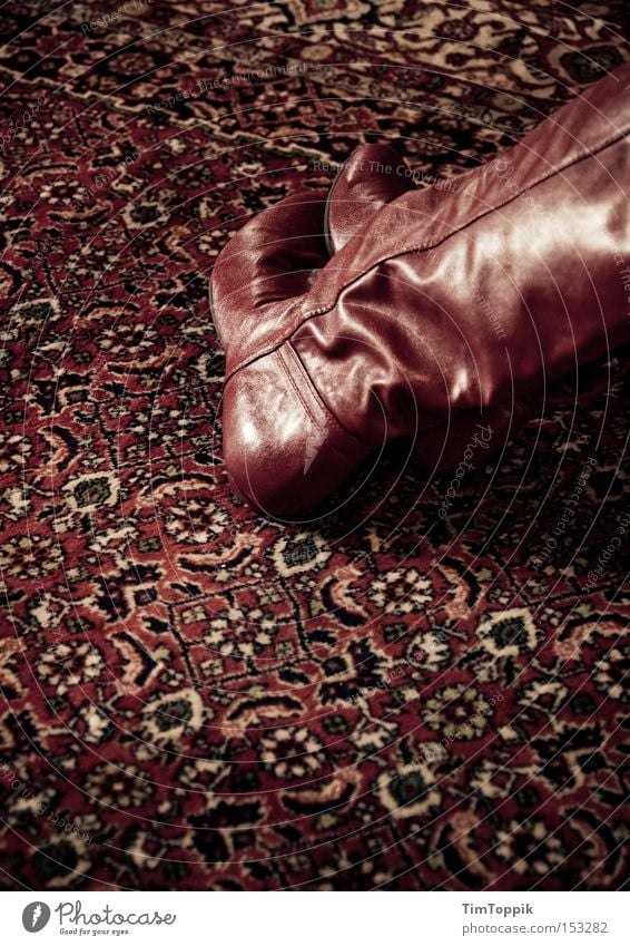 Der gestiefelte Läufer Teppich Stiefel Muster Gegenteil rot entkleiden Perserkatze Kinderarbeit dunkel Raum Kammer Wohnzimmer Bekleidung Schlafzimmer