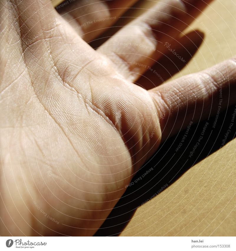 Hand Handfläche Griff fangen greifen Haut Finger Schatten Körperteile Sinnesorgane Gefühle Handwerk Kraft
