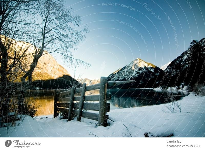 Heiterwanger See I Berge u. Gebirge Alpen Wasser Winter Schnee Eis Zaun Baum Stimmung Einsamkeit kalt Spiegel Bundesland Tirol Österreich Landschaft