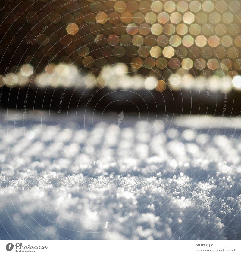 Beautiful World - Winterspaziergang Schnee kalt weiß Licht Sonne Minusgrade Januar Reflexion & Spiegelung Reflektor Denken Sonnenstrahlen schön Schattenspiel