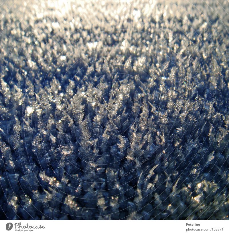 kristalline Lebensform Frost kalt Fensterscheibe Autofenster Morgen blau schwarz Eis Winter frieren weiß Glas schön Schnee