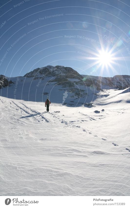 Skitour Schnee Skifahren Skier Sonne wandern Sport Gipfel Berge u. Gebirge Gletscher Felsen Himmel Fußspur Eis Tiefschnee Wintersport powder