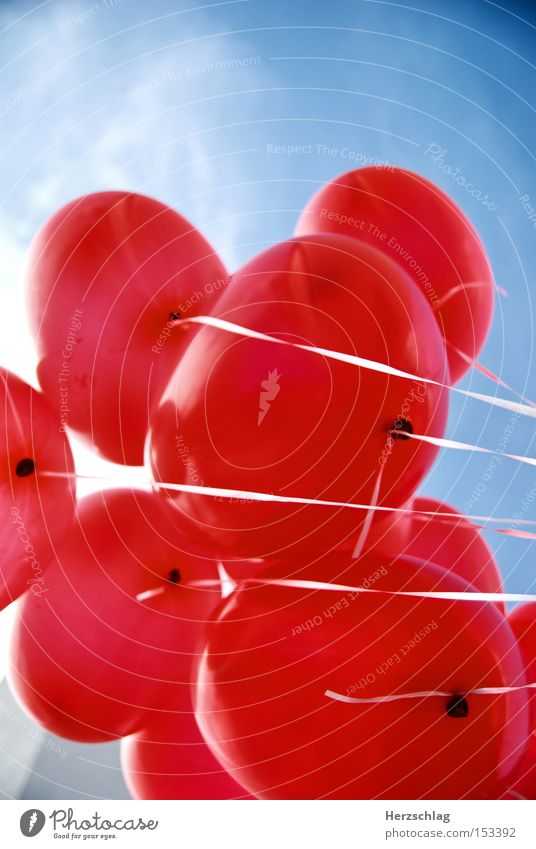 Love Balloons II Luftballon rot blau Glück Geborgenheit Vertrauen Sommer Himmel. fliegen