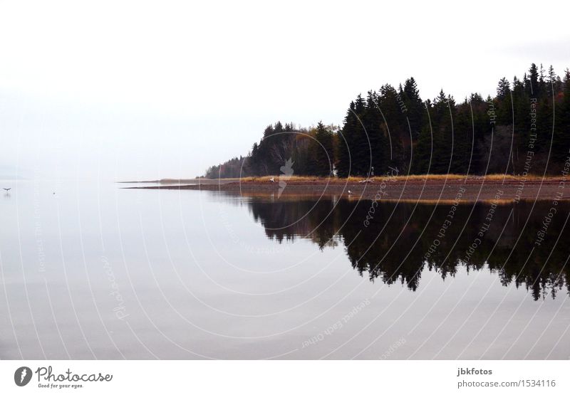 Ruhe Landschaft Sympathie Kanada See Wald Spiegelbild Farbfoto