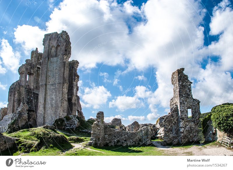 Corfe Castle Natur Wolken Ruine Sehenswürdigkeit Ferien & Urlaub & Reisen Vergänglichkeit Corfe castle England Großbritannien Isle of Purbeck Farbfoto