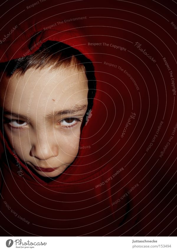 Rotkäpperich Kind Junge Kapuze rot Kommunizieren Farbe Teletubbies Kindheit Kapuzenpullover Blick in die Kamera 1 Textfreiraum unten Textfreiraum rechts