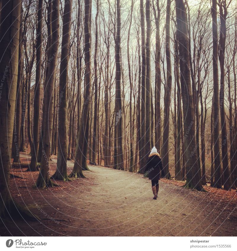 Ein Weiblein läuft im Walde Ausflug Insel wandern Spazierweg Mensch feminin Junge Frau Jugendliche 1 30-45 Jahre Erwachsene Maler Caspar David Friedrich