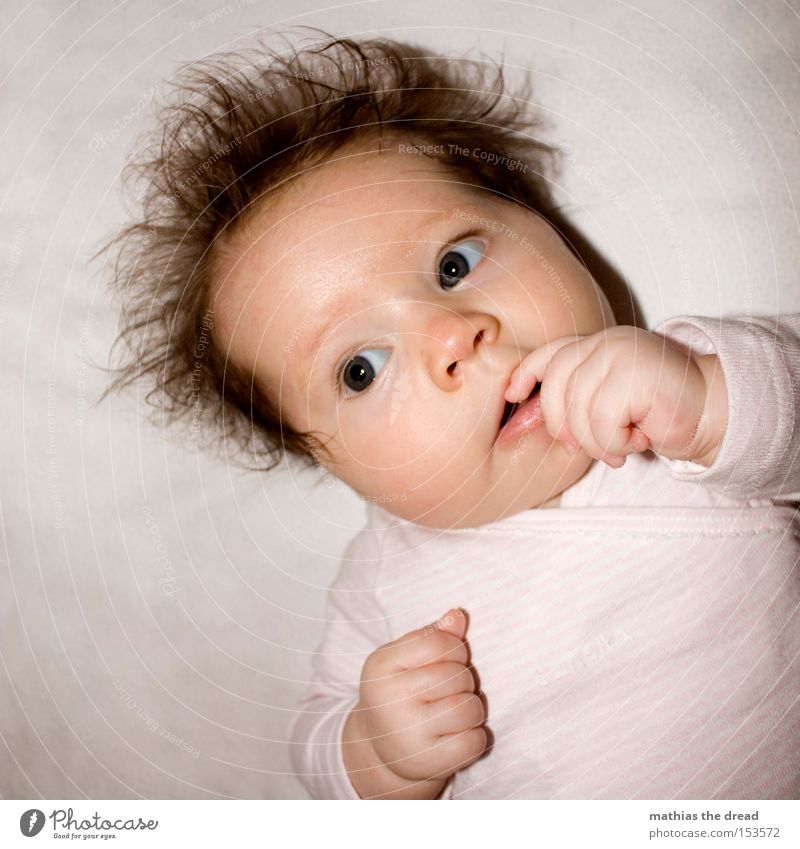 FINGER WEG VON STECKDOSEN Baby Kind Hand saugen sabbern Haare & Frisuren Struwwelpeter niedlich Fett lutschen Auge verträumt süß Freude Kleinkind schön