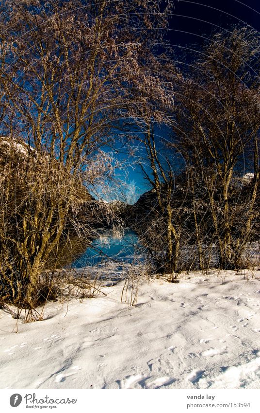 Heiterwanger See V Berge u. Gebirge Wasser Landschaft Winter kalt Schnee Himmel blau Kontrast Umwelt Einsamkeit Natur