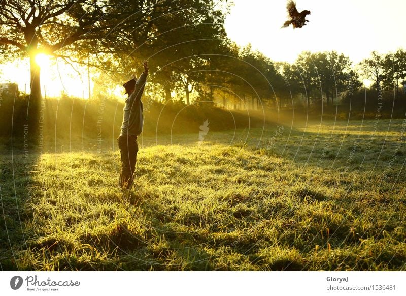 Drachenhuhn Sonne fliegen maskulin Mann Erwachsene 1 Mensch 18-30 Jahre Jugendliche Künstler Nebel Eis Frost Garten Park Wiese Hose Pullover Zylinder Tier