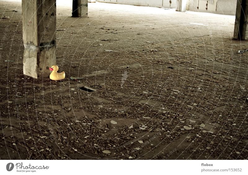 Versteck-Spiel Ente Badeente gelb schäbig alt Beton Stein Lagerhalle Halle Fabrikhalle Einsamkeit Justizvollzugsanstalt gefangen verfallen Industrie Vogel