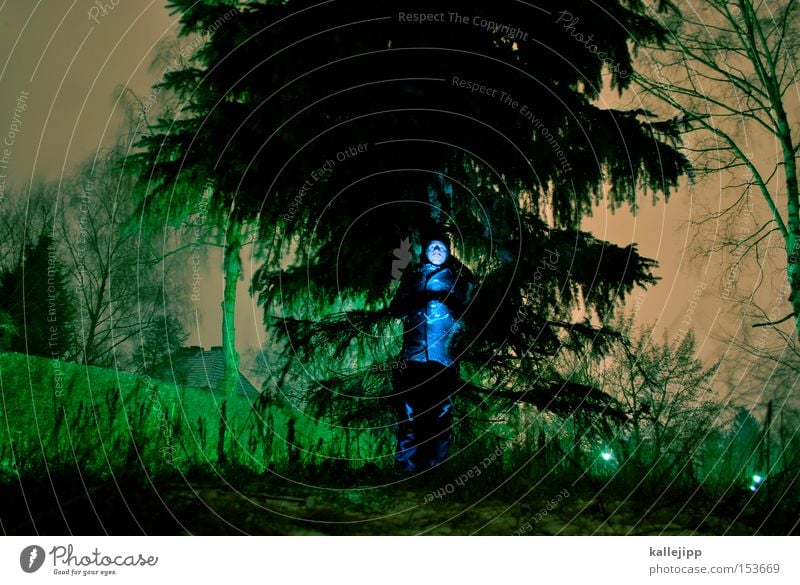 ein männlein steht im walde Mensch Mann Wald Tanne Forstweg Frost frieren Forstwirtschaft Baum Nacht Licht Natur Baumstamm Zweig Nadelbaum Langzeitbelichtung