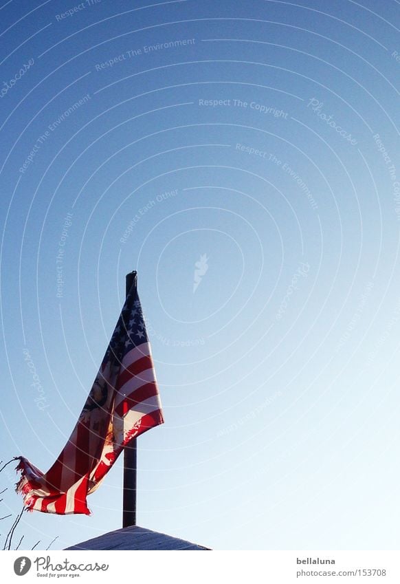 Flagge zeigen Himmel Dach Fahne blau rot weiß Amerika USA Stars and Stripes Farbfoto mehrfarbig Außenaufnahme Morgen Tag Blauer Himmel Wolkenloser Himmel