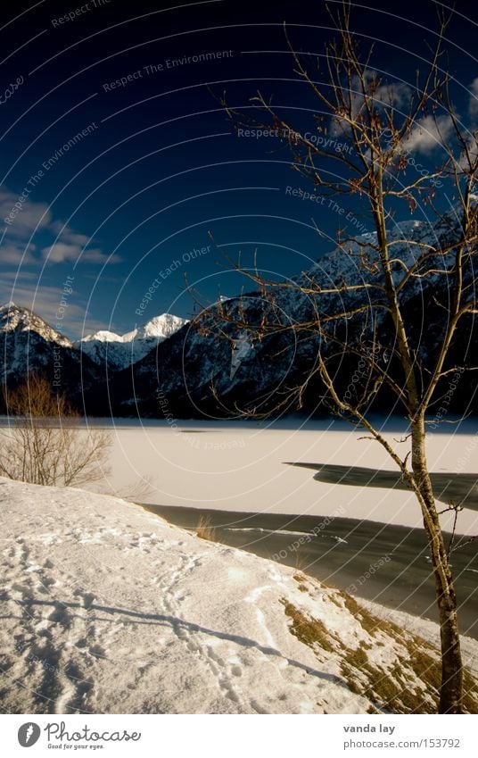 Heiterwanger See VII Schnee Berge u. Gebirge Baum Spaziergang Fußspur gefroren bedeckt Himmel Schatten Winter kalt Frieden