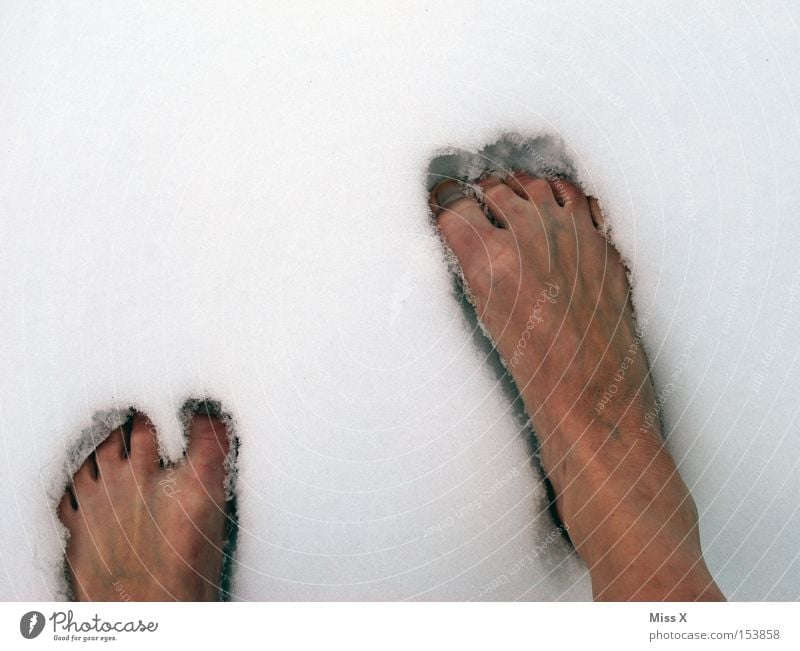 Hardcore!!! Farbfoto Außenaufnahme Winter Schnee Fuß Eis Frost frieren kalt Zehen gefroren Barfuß abhärten kalte Füße Abwehrkräfte
